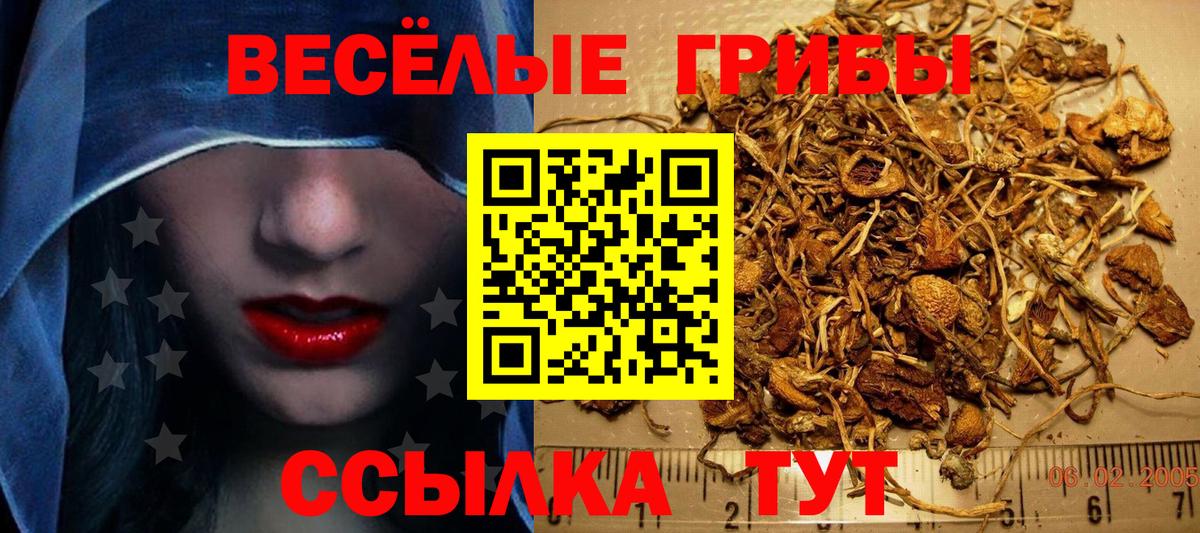 Псилоцибиновые грибы ЛСД Нововоронеж
